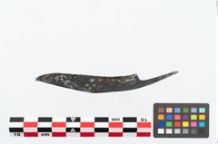 Foto von Eisengriffdornmesser (NHMW-PRAE-026164)